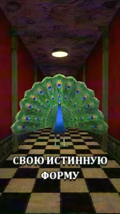 11 с часть 6, 11 с
