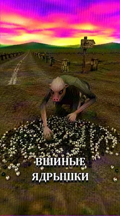 Вшиные ядрышки