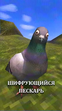 12 с часть 31, 12 с
