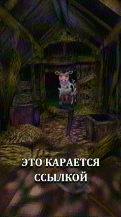 Корова