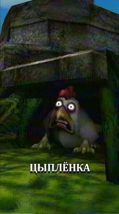 Цыплёнок