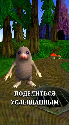 13 с часть 40, 13 с
