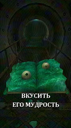 Мудрость