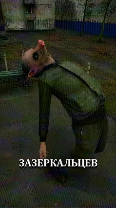 Зазеркальцы