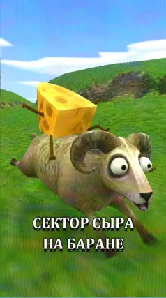 Сектор сыра на баране
