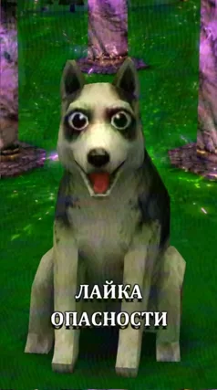 часть 64, 28 с