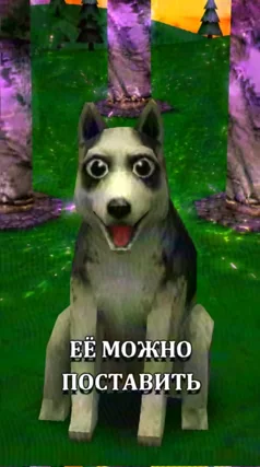 часть 64, 31 с