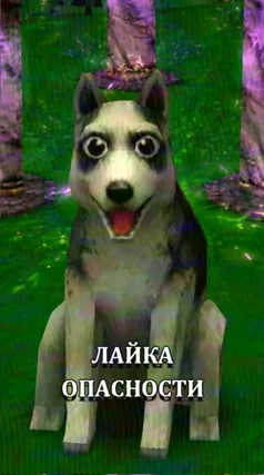 Лайка