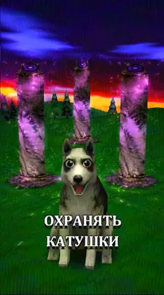 Катушки