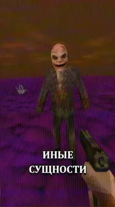 Иные сущности