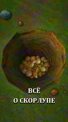 19 с часть 74, 19 с