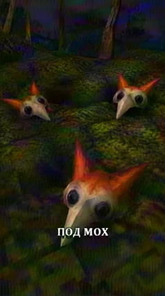 Мох