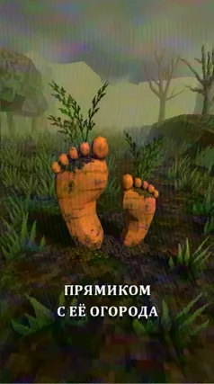 Огород Жули