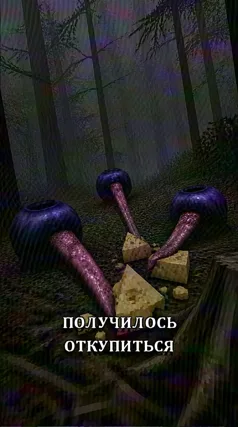 41 с часть 96, 41 с