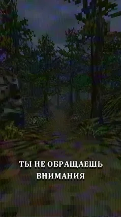 часть 108, 17 с