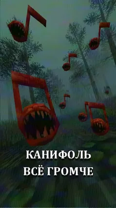 Канифоль