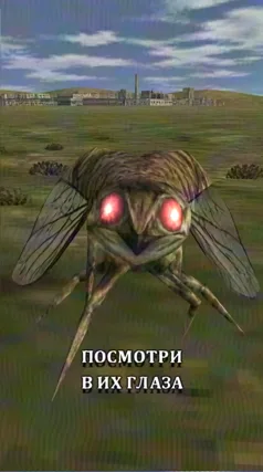22 с часть 114, 22 с
