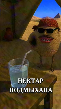 часть 116, 11 с