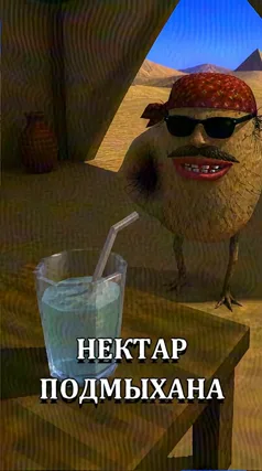 часть 116, 11 с