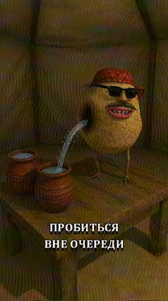 часть 116, 17 с