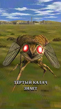 Тёртый калач