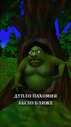 Дупло Пахомия