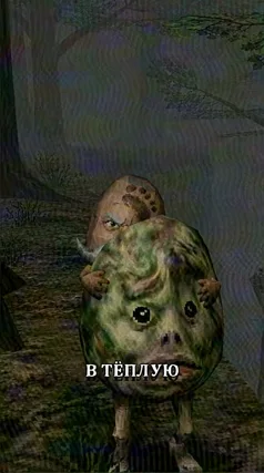 часть 139, 30 с