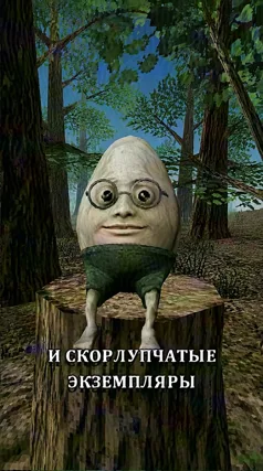 Скорлупчатые экземпляры