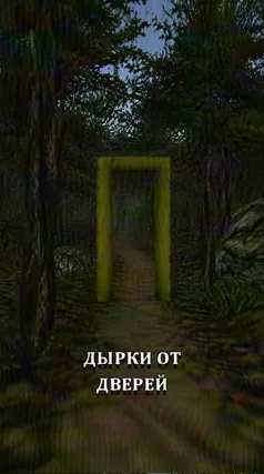 Дырка от двери