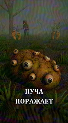 Пуча