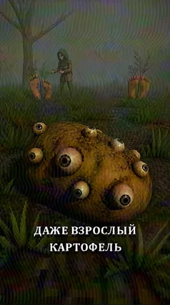 Взрослый картофель