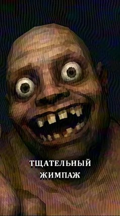 Жимпаж