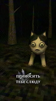 Слюда