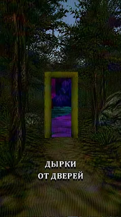 Дырки от дверей