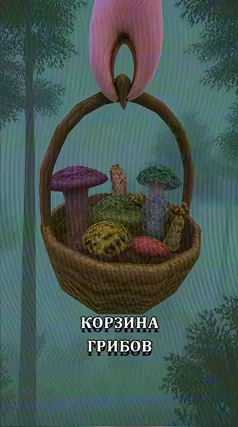 Корзина грибов