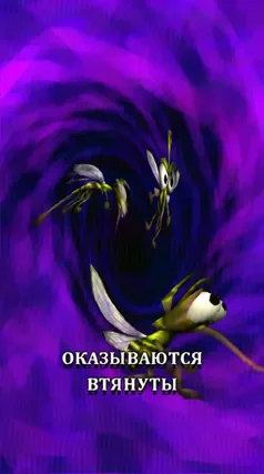 часть 185, 9 с