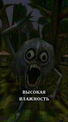 Высокая влажность
