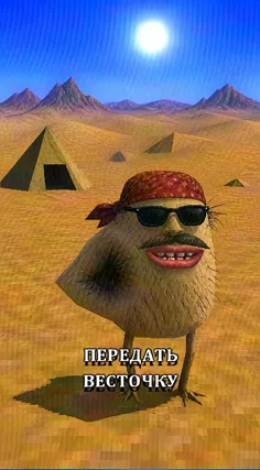 часть 202, 9 с
