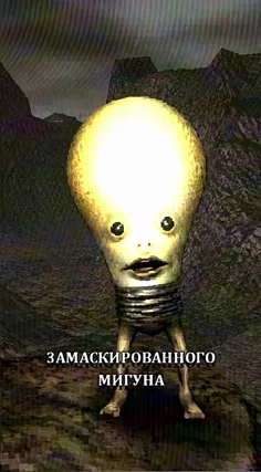 часть 203, 10 с