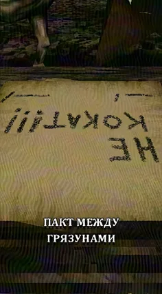 часть 203, 12 с