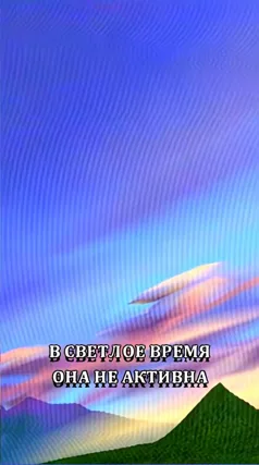 часть 206, 9 с