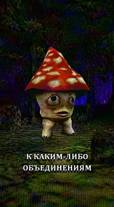 часть 208, 21 с