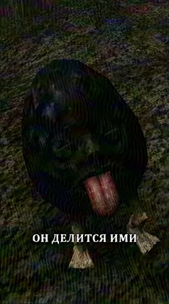 3 с часть 209, 3 с