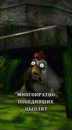 часть 210, 13 с