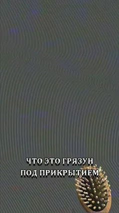 14 с часть 211, 14 с