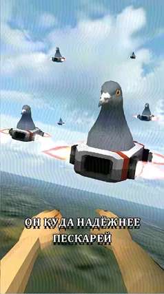 часть 213, 4 с