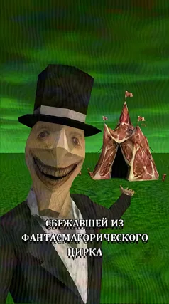 17 с часть 216, 17 с