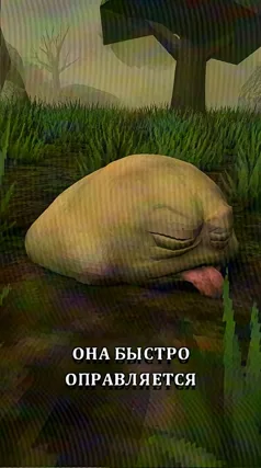 27 с часть 216, 27 с