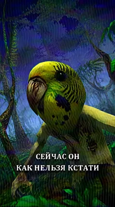часть 218, 12 с