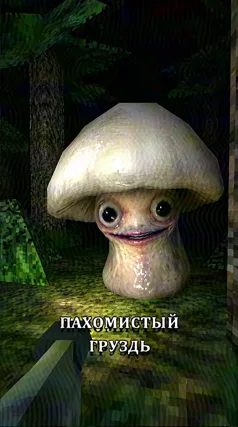 15 с часть 224, 15 с